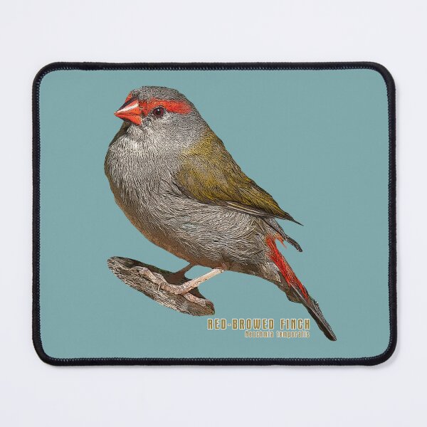 Item preview, Red Browed Finch designed and sold by SEADOGPRINTS.