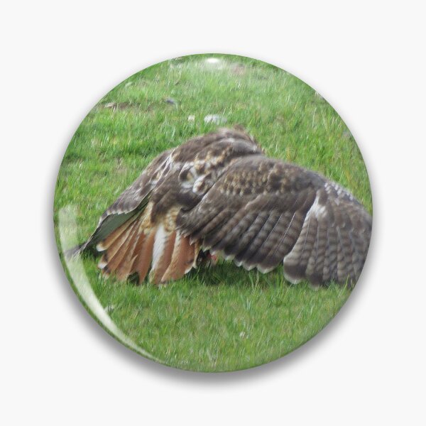 Item preview, Red Tailed Hawk - Buteo jamaicensis designed and sold by lezvee.