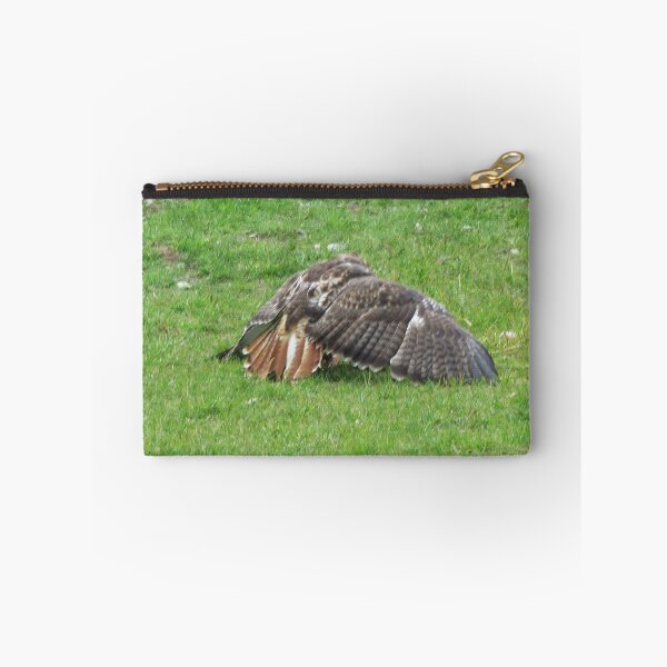 Item preview, Red Tailed Hawk - Buteo jamaicensis designed and sold by lezvee.