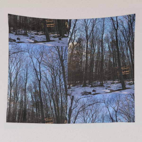 Item preview, Winter Woods designed and sold by BlakeyCakes.
