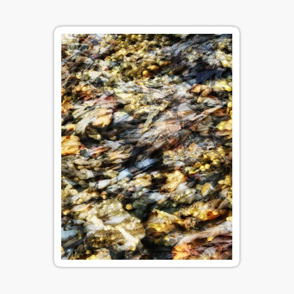 Item preview, Seaweed designed and sold by Mangel Wurtzel Art.