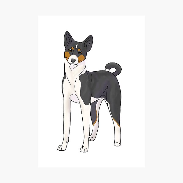 Item preview, Basenji - black tri designed and sold by Cynthiaetal.