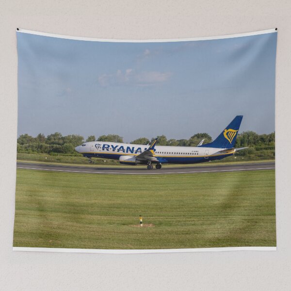 Item preview, MAN to ORK Ryanair Boeing 737-8AS designed and sold by Skyframe Aviation.