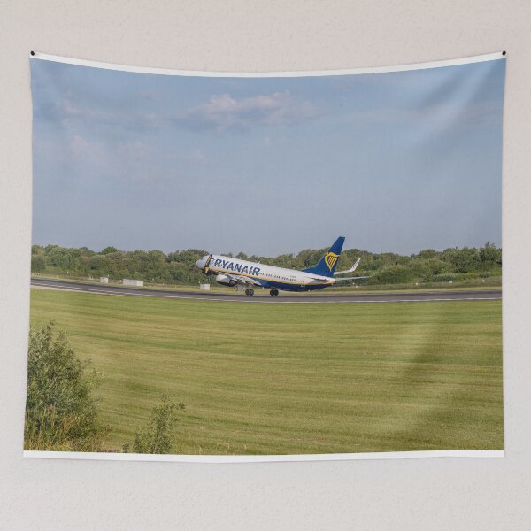 Item preview, MAN to ORK Ryanair Boeing 737-8AS designed and sold by Skyframe Aviation.