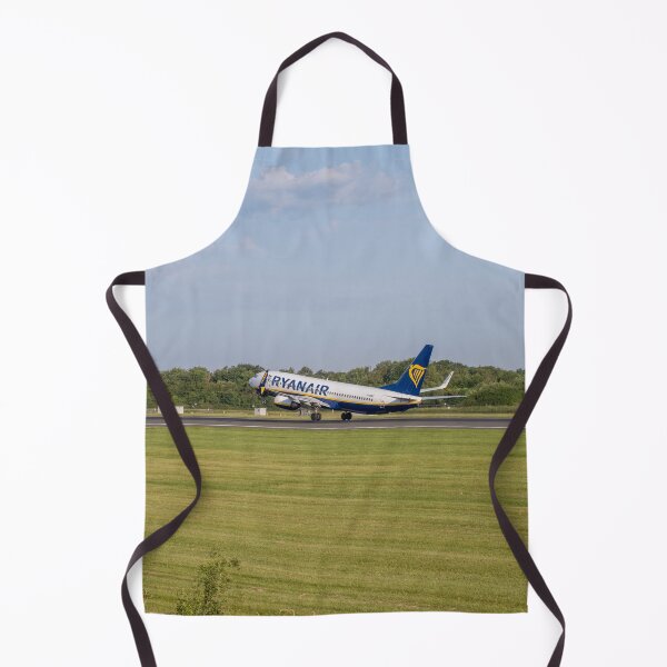 Item preview, MAN to ORK Ryanair Boeing 737-8AS designed and sold by Skyframe Aviation.