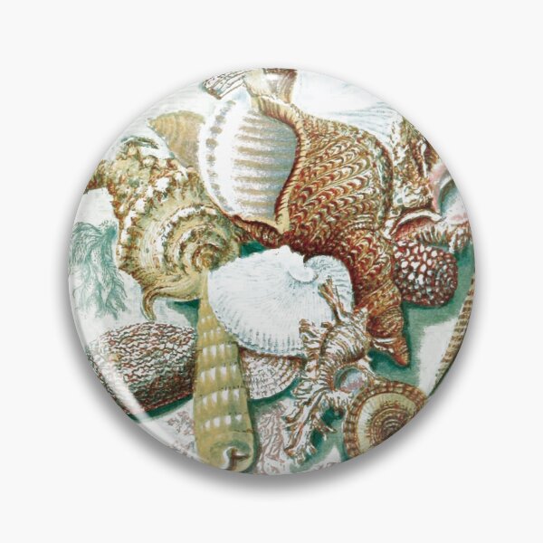 Item preview, vintage illustration of many seashells designed and sold by ArboreSciences.