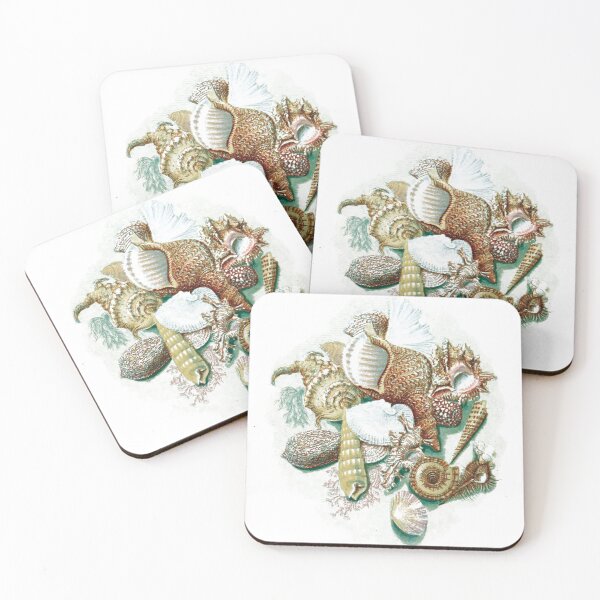 Item preview, vintage illustration of many seashells designed and sold by ArboreSciences.