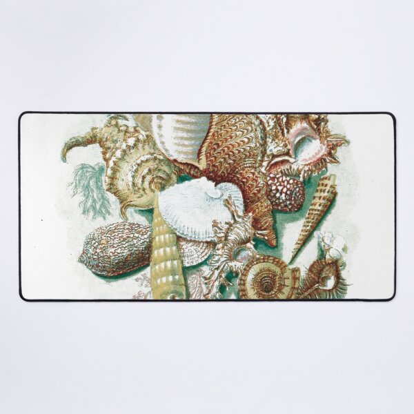Item preview, vintage illustration of many seashells designed and sold by ArboreSciences.