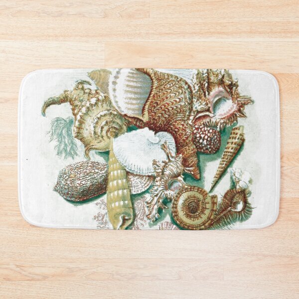 Item preview, vintage illustration of many seashells designed and sold by ArboreSciences.