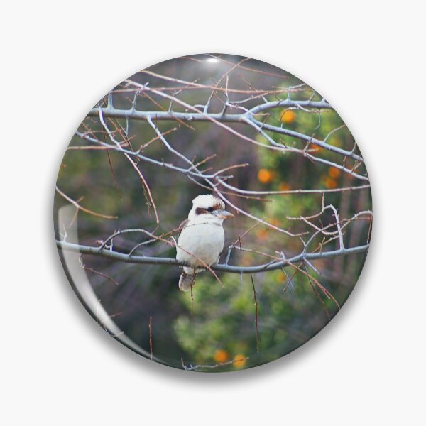 Item preview, Australias Laughing kookaburra designed and sold by Joy Watson - Natural Light Photography .