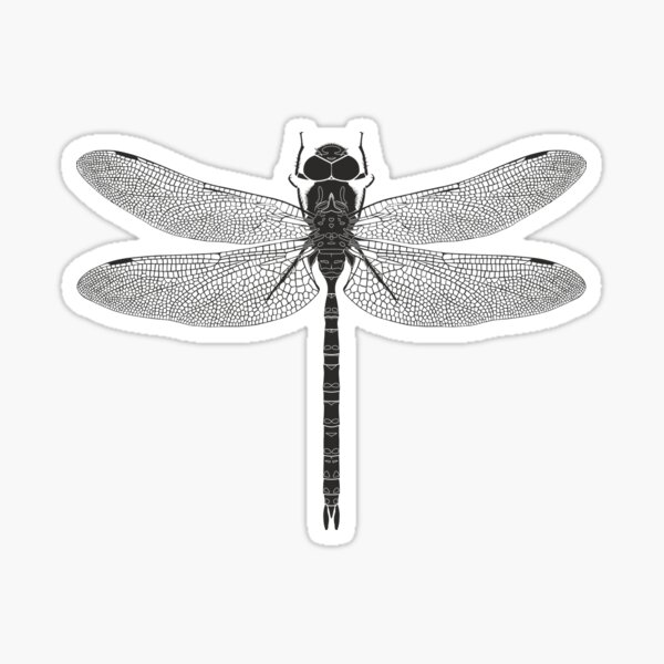 Item preview, Black Dragonfly Vector Silhouette Top View Minimalist Design designed and sold by FAawRay.