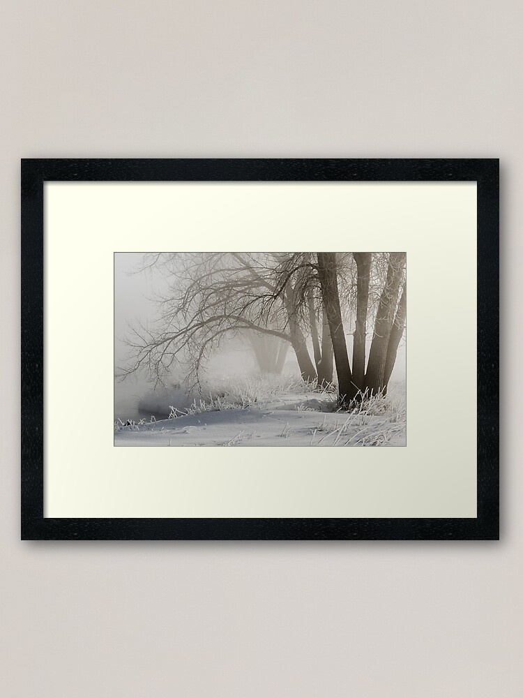Alternate view of Etched By Snow - Sawhill Carvings Framed Art Print