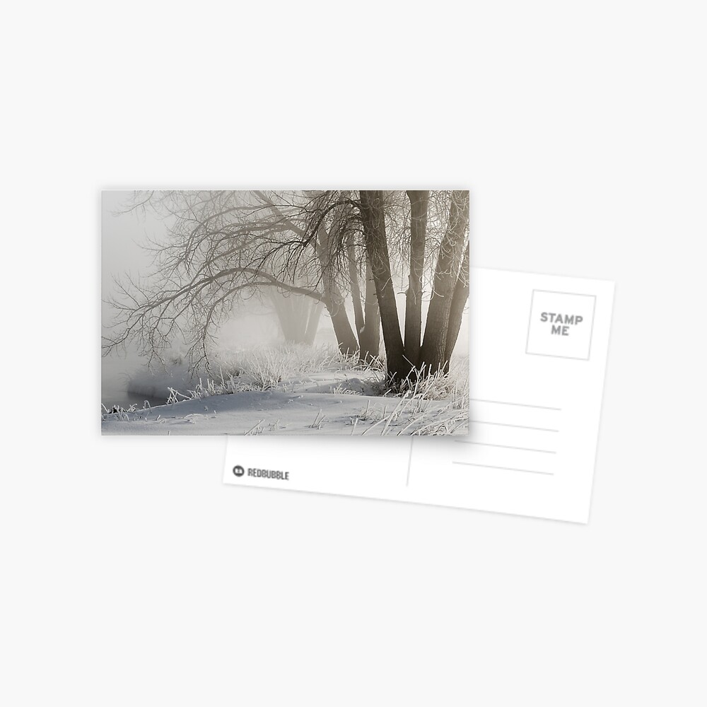 Etched By Snow - Sawhill Carvings Postcard