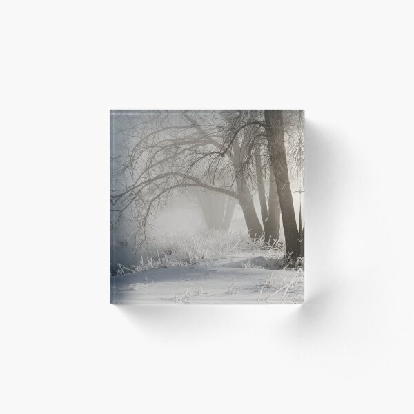 Etched By Snow - Sawhill Carvings Acrylic Block