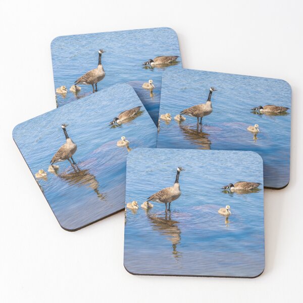 Item preview, Canada Geese on Solitaire Lake 2 designed and sold by jrtwynam.
