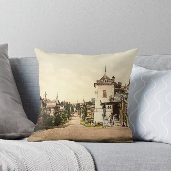 Item preview, 10, 251. designed and sold by landscapd.