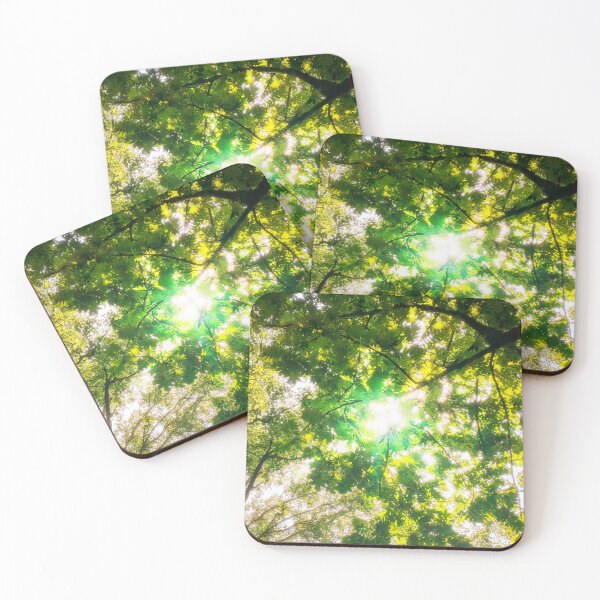 Item preview, Sun beam through trees designed and sold by KookyBeans Creations.