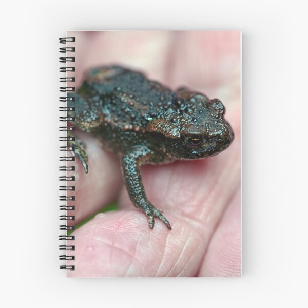 Item preview, Toad in the Hand designed and sold by Tom McPherson Photography.