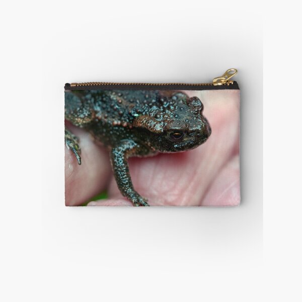 Item preview, Toad in the Hand designed and sold by Tom McPherson Photography.