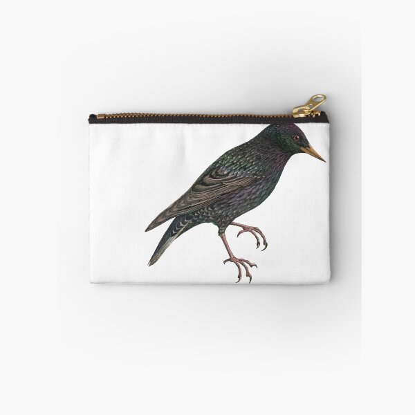 Item preview, Bird Art - European starling - Vintage Print Art designed and sold by Studio66Designs.