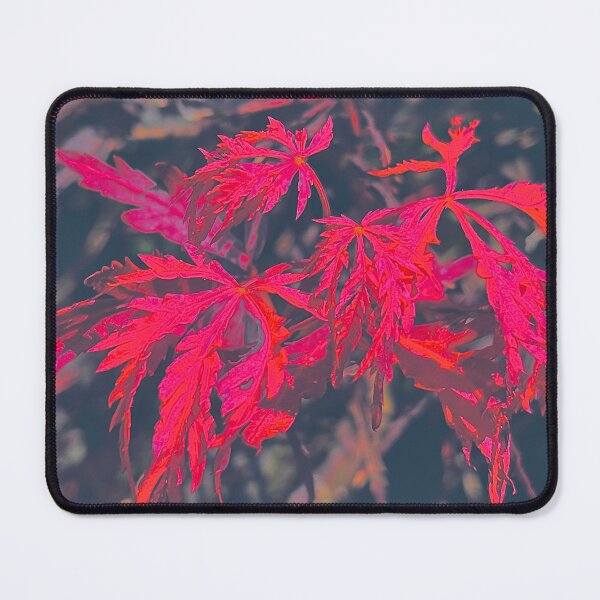 Item preview, Japanese Maple designed and sold by Creoblue1.