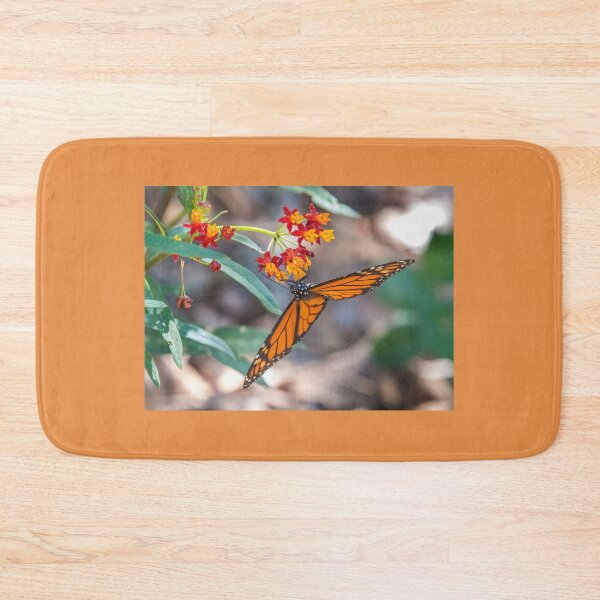 Item preview, Monarch With Open Wings on Milkweed Bloom designed and sold by CarolM.