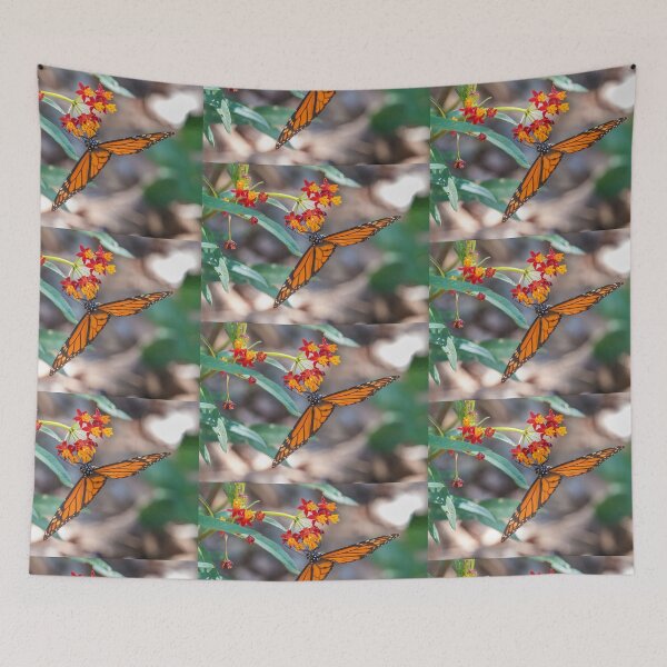Item preview, Monarch With Open Wings on Milkweed Bloom designed and sold by CarolM.