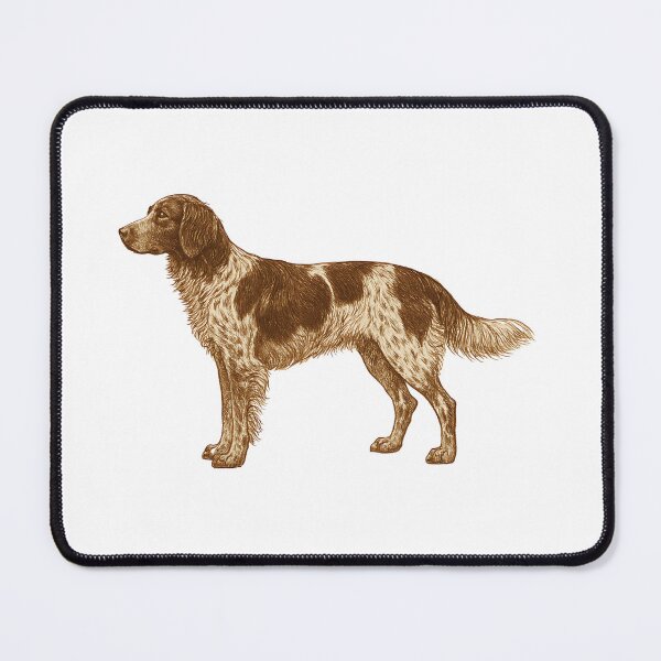 Item preview, small munsterlander-drawing- designed and sold by designkb.