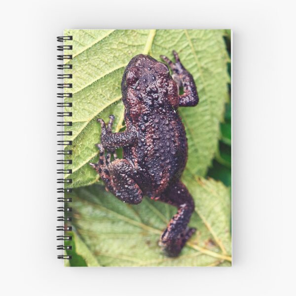 Item preview, Toad on Leaves designed and sold by Tom McPherson Photography.
