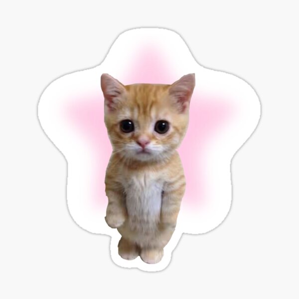 Item preview, El gato designed and sold by Dxwnfxll.