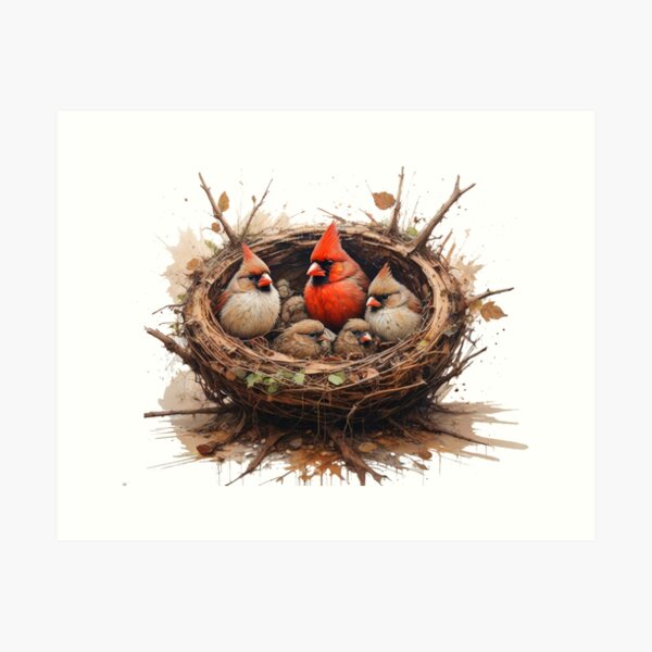 Item preview, nest designed and sold by Talpha.