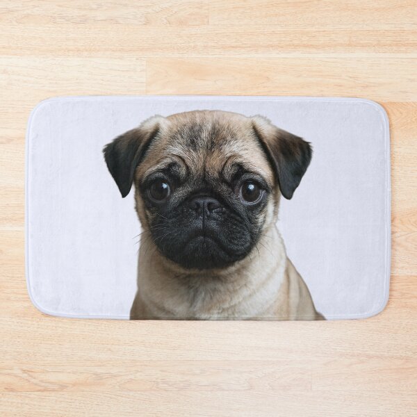 Item preview, Cute Pug Puppy giving puppy dog eyes designed and sold by Christopher Faxon.