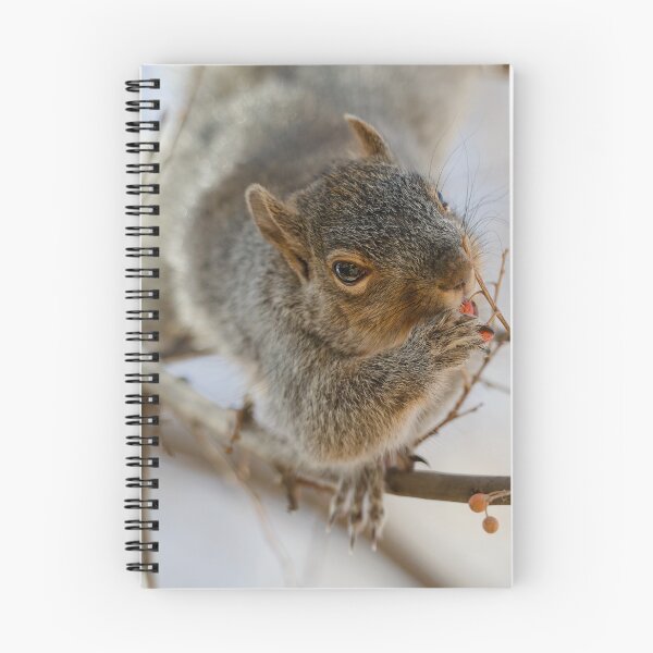 Item preview, Arizona Grey Squirrel near Patagonia Arizona designed and sold by Clarkwurks Photography.