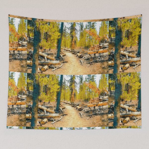 Item preview, Ansel Adams Wilderness Area designed and sold by My Righteous Apparel.