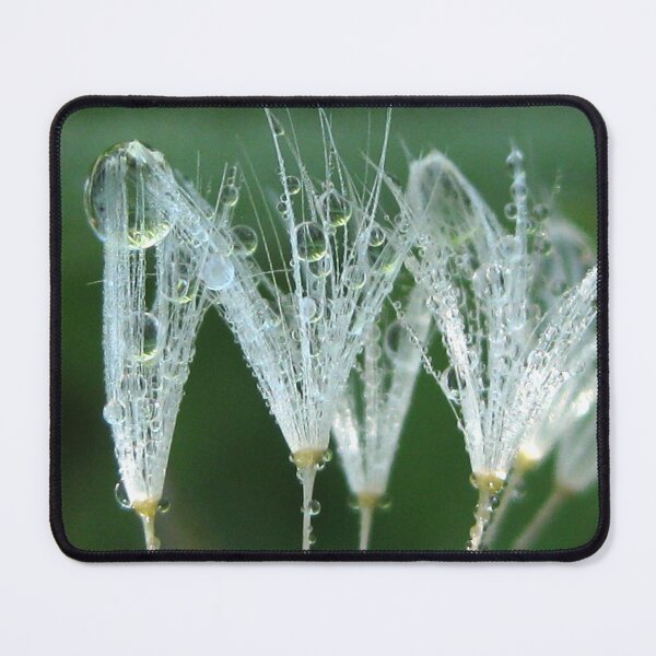 Item preview, Dandelion With Dew Peaceful Nature Meditation Photo designed and sold by KatharineEmlen.