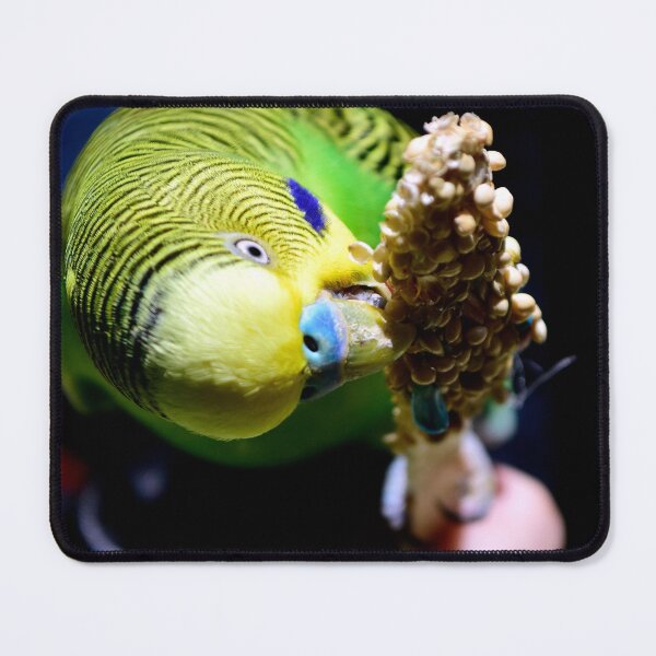 Item preview, Budgerigar designed and sold by MercerImages.