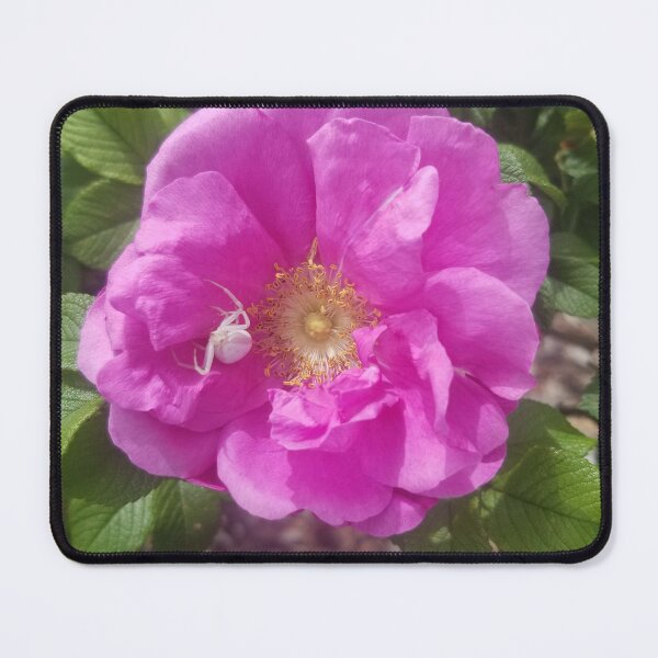 Item preview, Goldenrod Crab Spider designed and sold by Ali Oops Design.