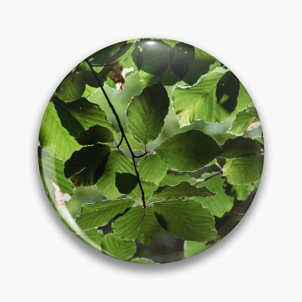 Item preview, Green Leaf Canopy designed and sold by Tom McPherson Photography.