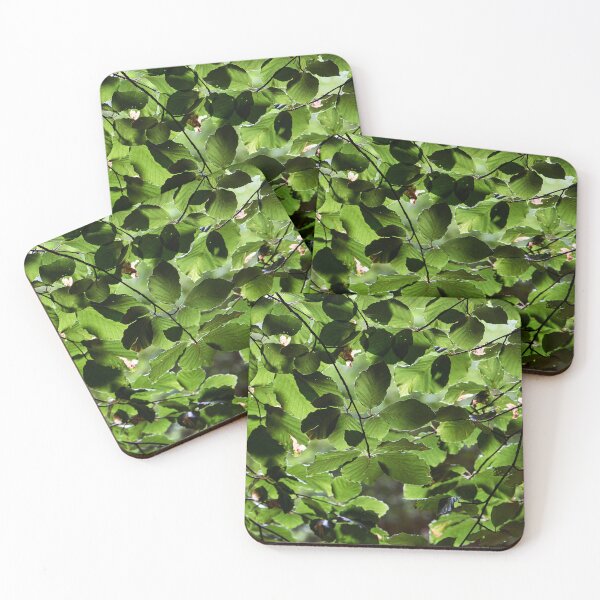 Item preview, Green Leaf Canopy designed and sold by Tom McPherson Photography.