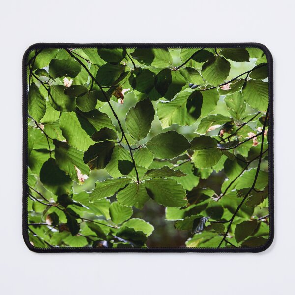 Item preview, Green Leaf Canopy designed and sold by Tom McPherson Photography.