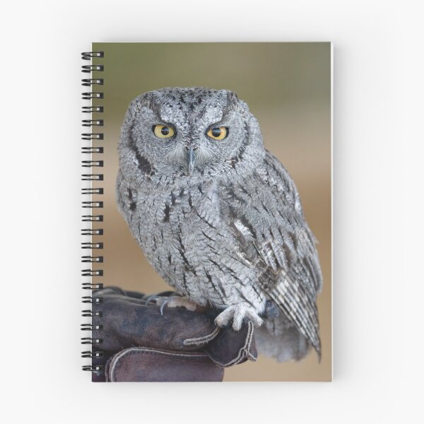 Item preview, Western Screech Owl Sonoran Desert designed and sold by Clarkwurks Photography.