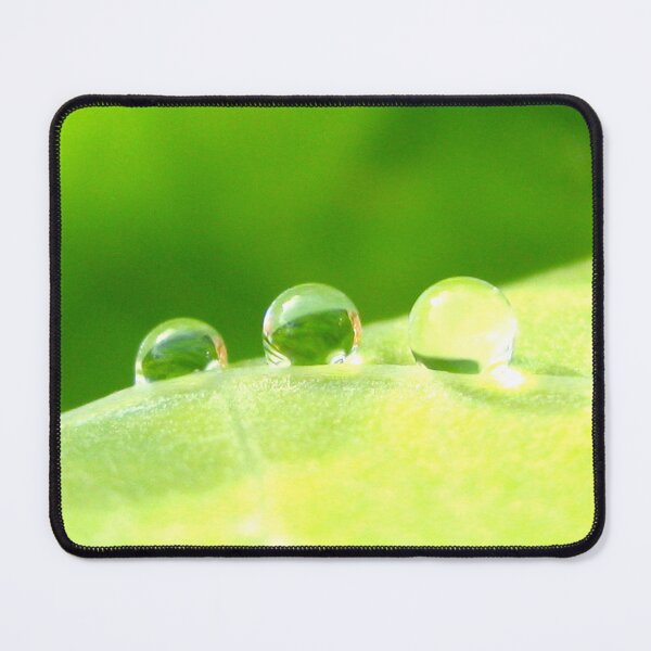 Item preview, Dew Drops on Green Leaf Peaceful Macro Photo designed and sold by KatharineEmlen.