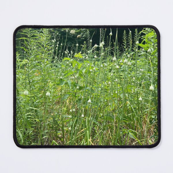 Item preview, Garlic Scapes designed and sold by collageDP.