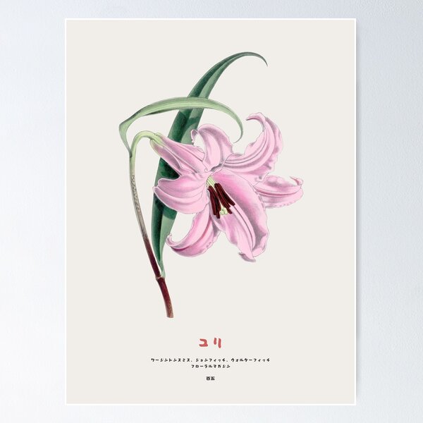 Item preview, Japanese lily designed and sold by Vintagrafica.