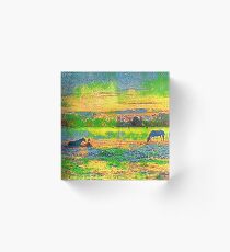 Morning at the Ranch Acrylic Block