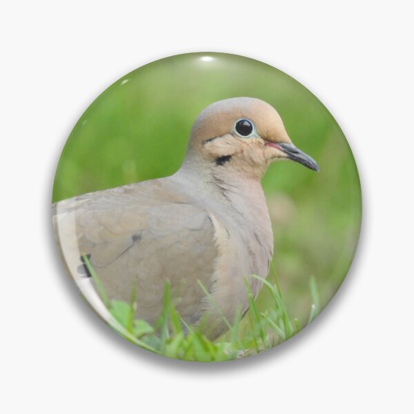 Item preview, Mourning Dove 2 designed and sold by priesterjen.