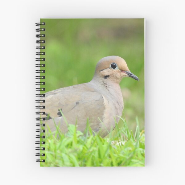 Item preview, Mourning Dove 2 designed and sold by priesterjen.