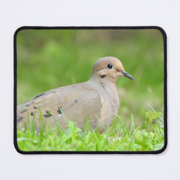 Item preview, Mourning Dove 2 designed and sold by priesterjen.