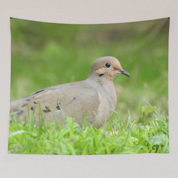 Item preview, Mourning Dove 2 designed and sold by priesterjen.