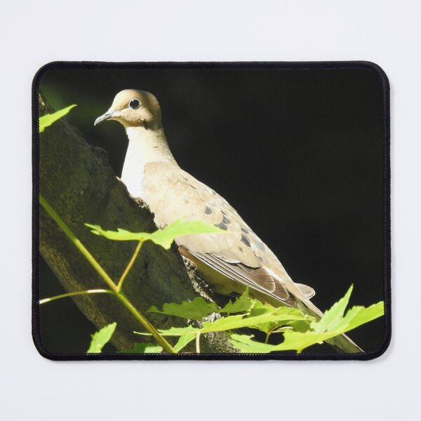 Item preview, Mourning Dove 3 designed and sold by priesterjen.